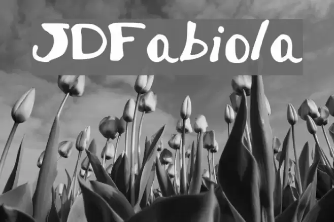 JDFabiola Font examples