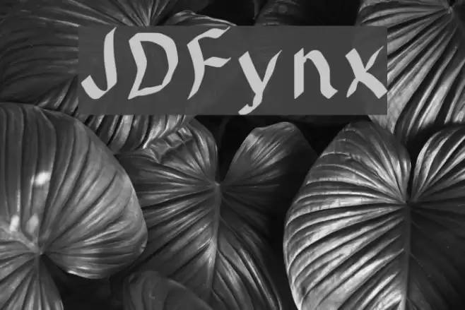 JDFynx Font examples