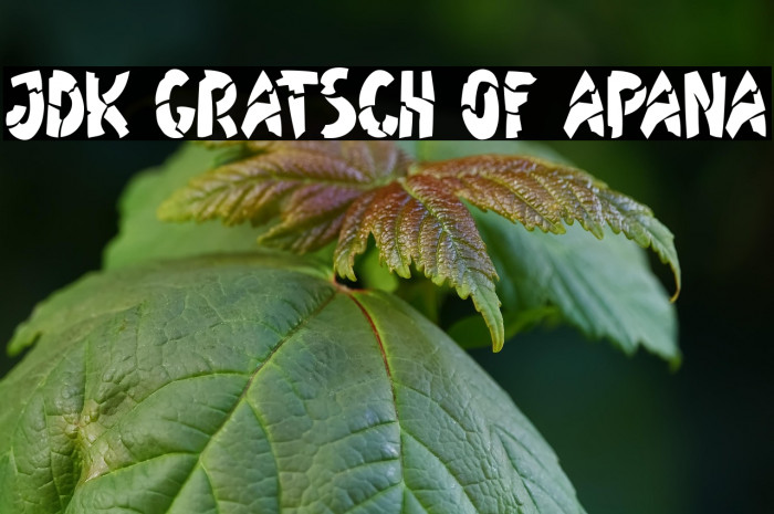 JDK Gratsch of Apana Example 2