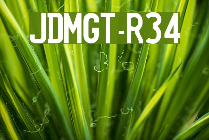 JDMGT-R34 Font examples