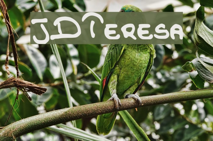 JDTeresa Font examples