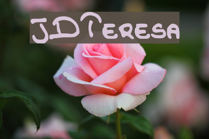 JDTeresa Font examples