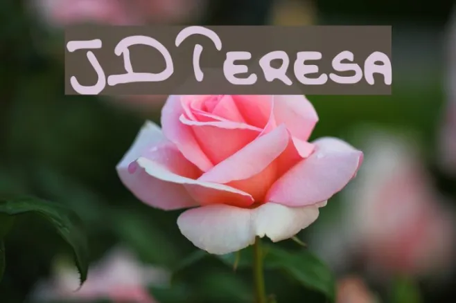 JDTeresa Example 3