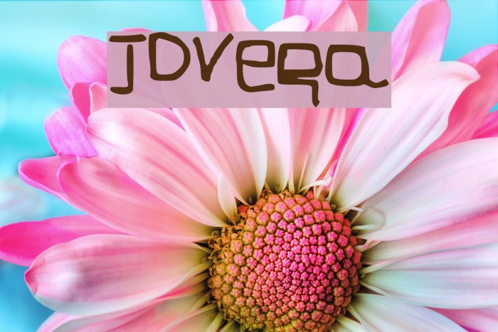 JDVega Font examples
