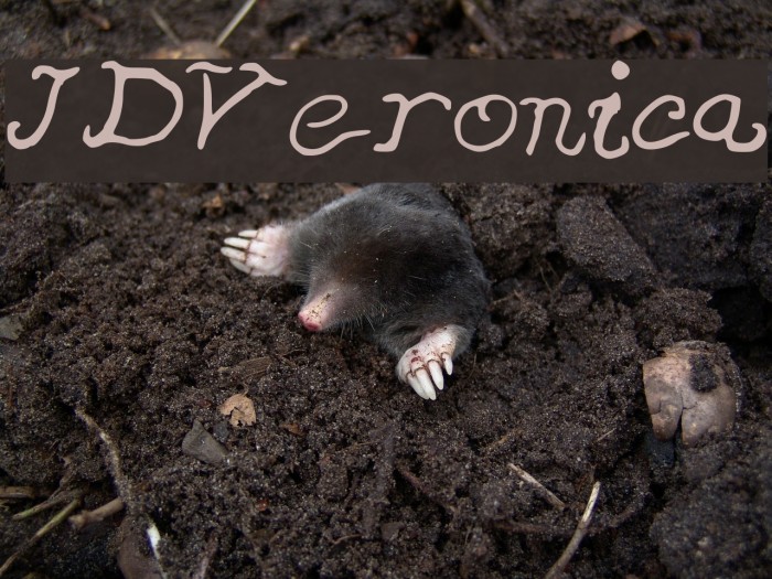 JDVeronica Example 1