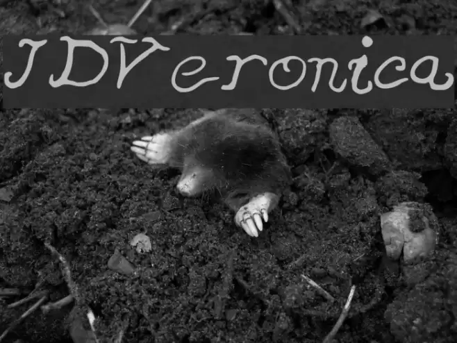 JDVeronica Font examples