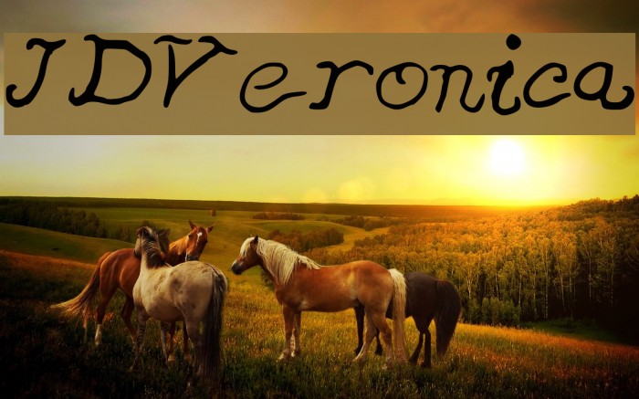 JDVeronica Example 2