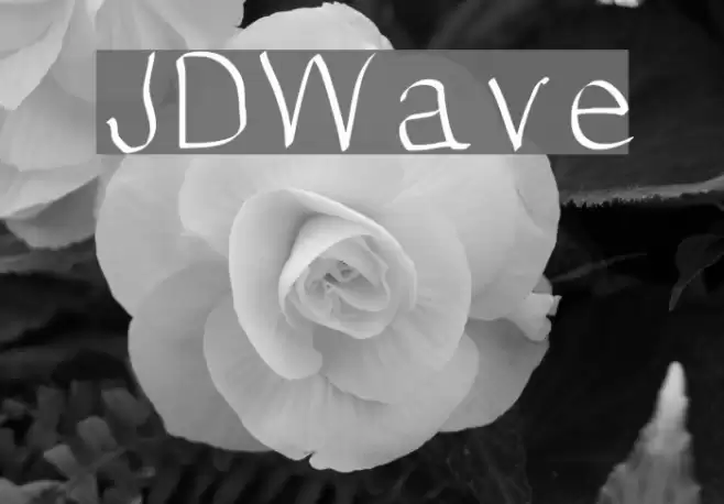 JDWave Font examples