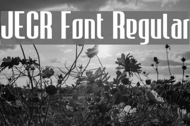 JECR Font Regular Font examples
