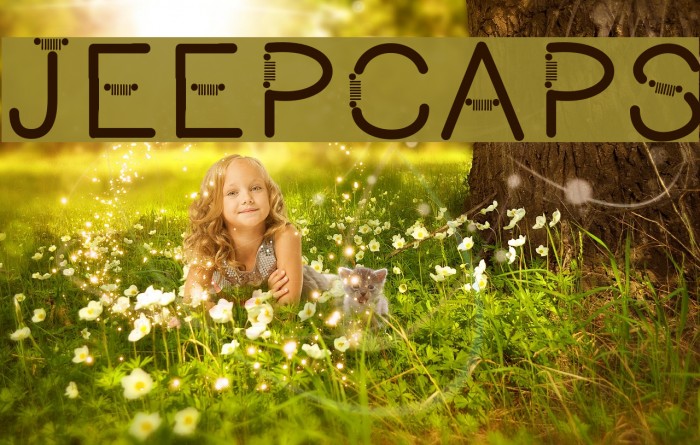 JEEPCAPS Example 2
