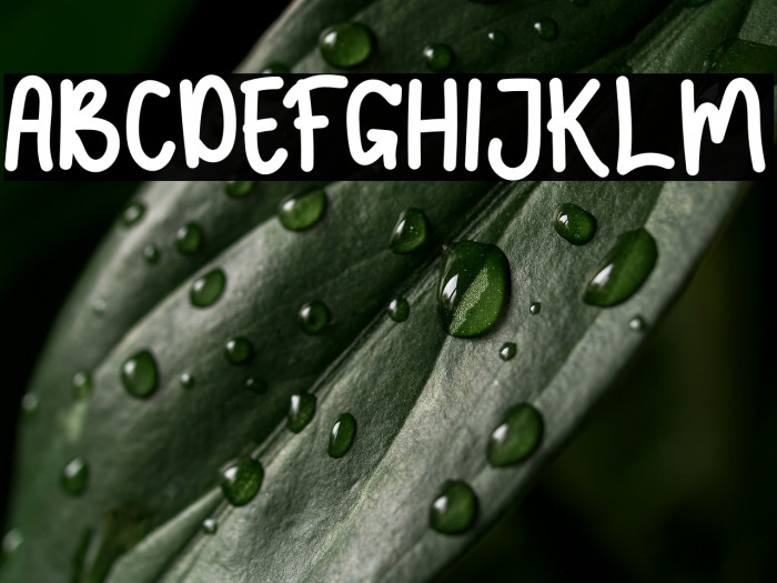 JELLYSWEETS Example 1