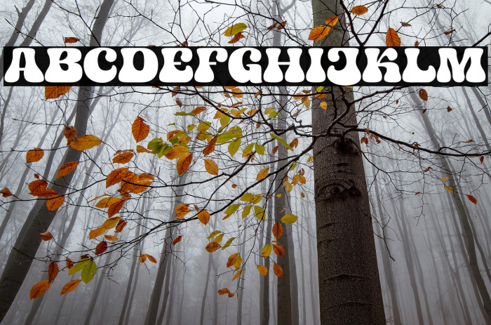 JEMROKtrial-Regular Example 1