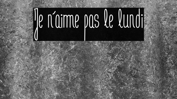 Je n'aime pas le lundi Example 1