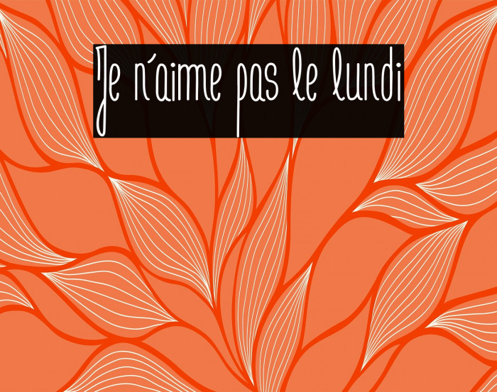 Je n'aime pas le lundi Example 2