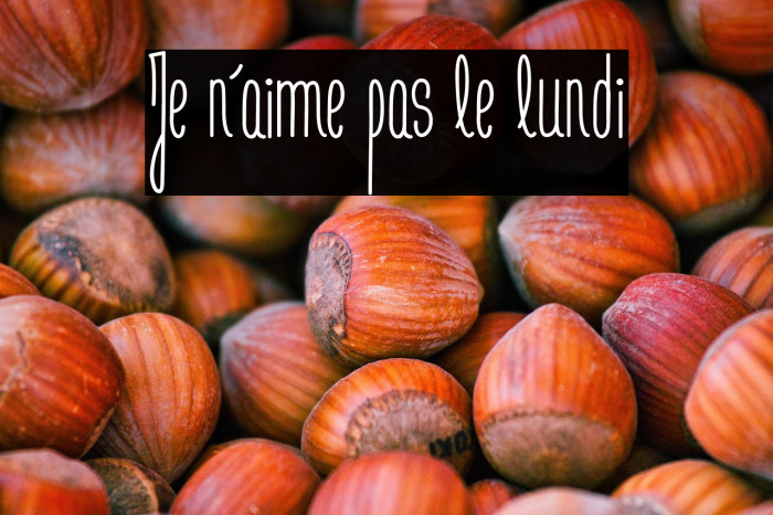 Je n'aime pas le lundi Example 3