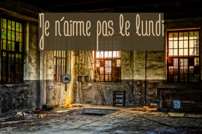 Je n'aime pas le lundi Example 1