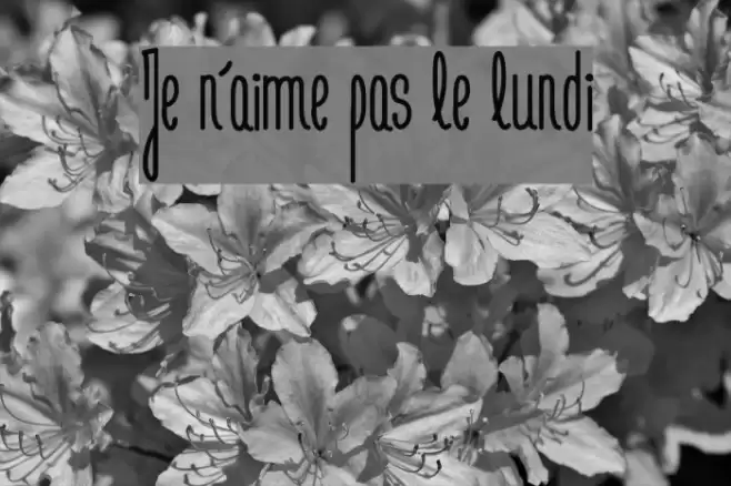 Je n'aime pas le lundi Font examples