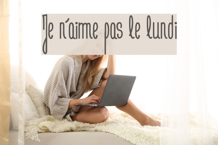 Je n'aime pas le lundi Example 3
