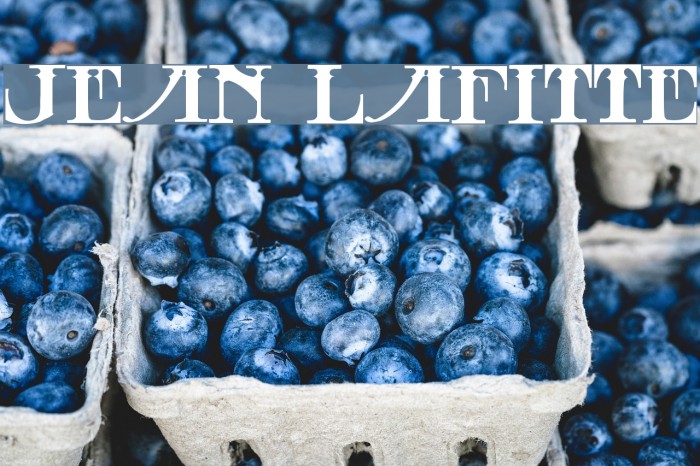 Jean Lafitte Example 1