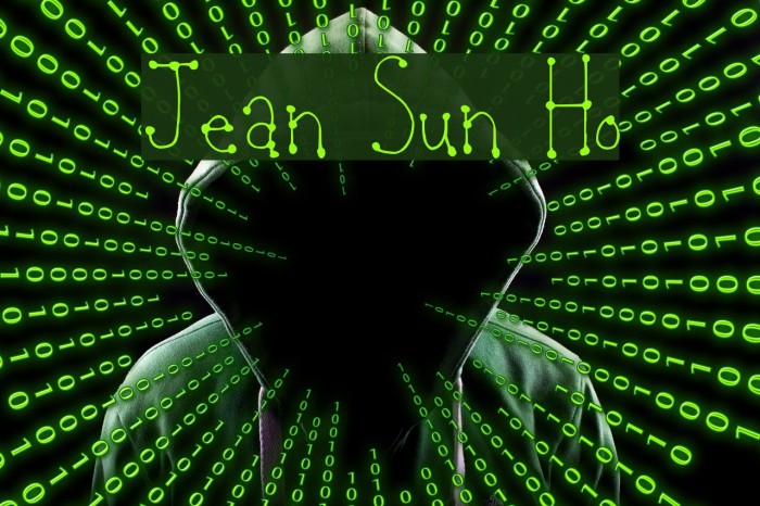 Jean Sun Ho Example 3