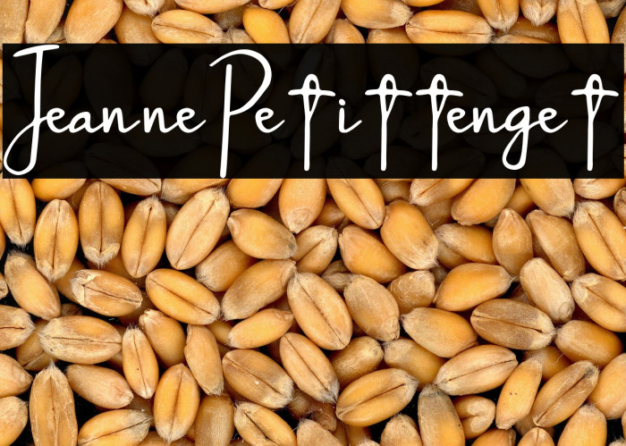 JeannePetittenget Example 2