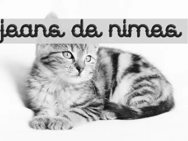 Jeans de nimes Font examples