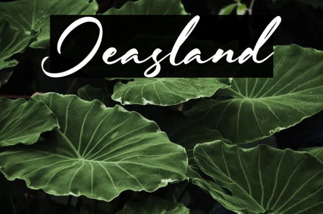 Jeasland Example 2