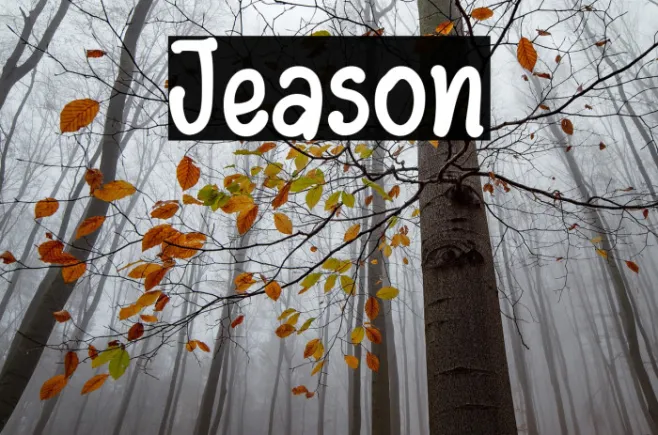 Jeason Example 2