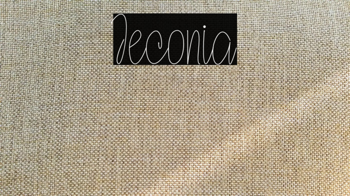 Jeconia Example 1