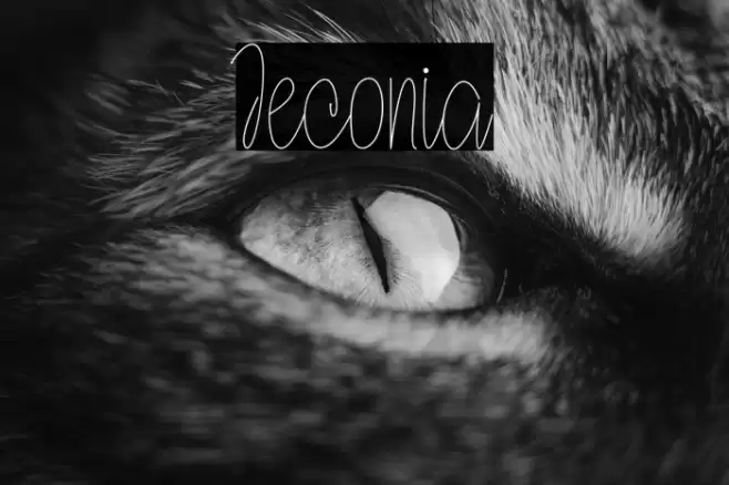 Jeconia Font examples