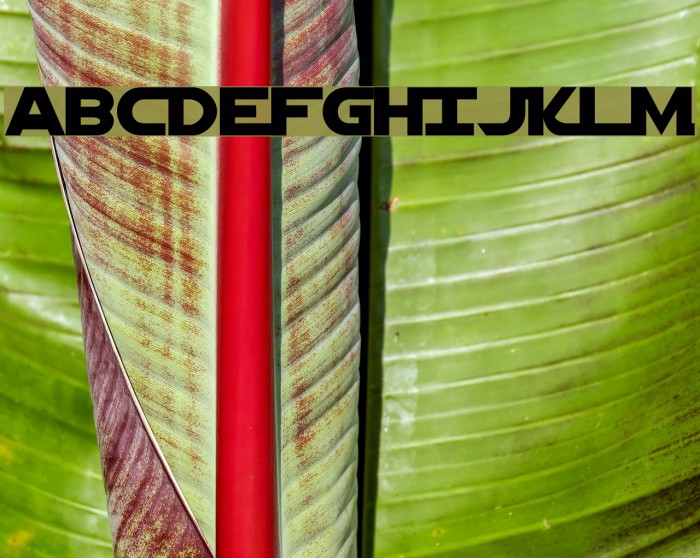 Jedi Solid Normal Font examples