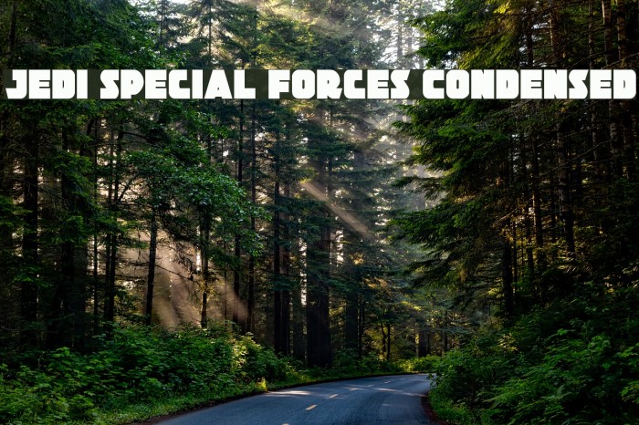 Jedi Special Forces Condensed Example 3