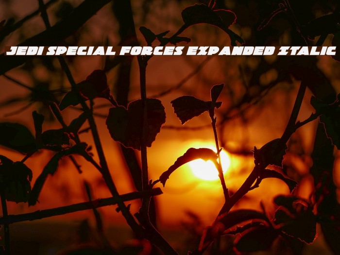 Jedi Special Forces Expanded Italic Font examples