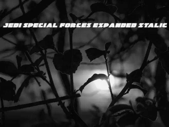 Jedi Special Forces Expanded Italic フォント examples