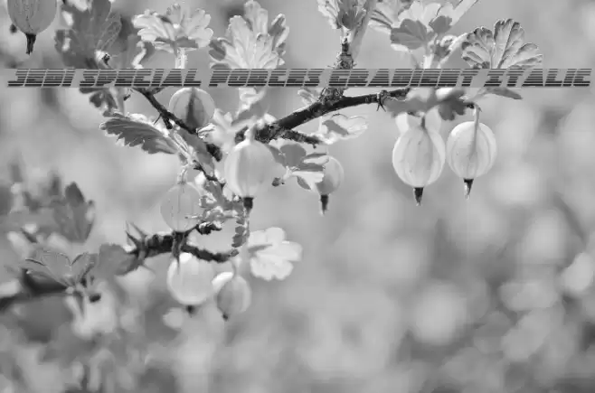 Jedi Special Forces Gradient Italic Font examples