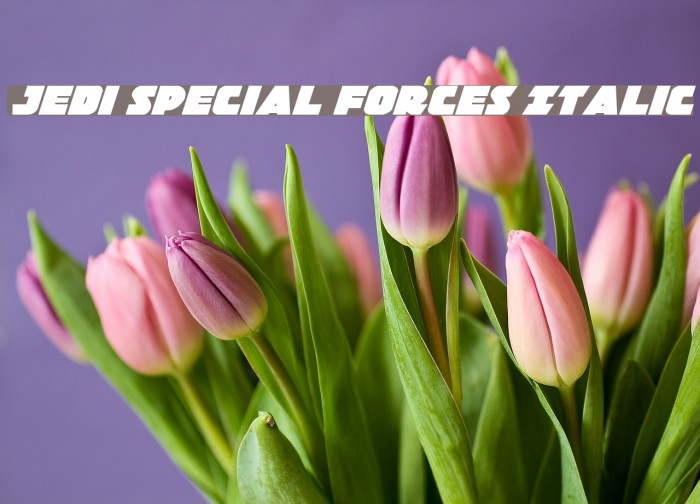 Jedi Special Forces Italic Font examples