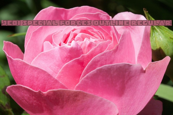 Jedi Special Forces Outline Regular Example 2