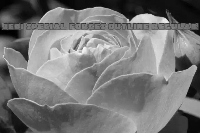 Jedi Special Forces Outline Regular Font examples