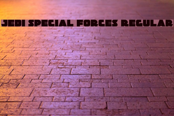 Jedi Special Forces Regular Example 1
