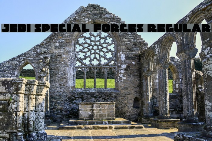 Jedi Special Forces Regular Example 3