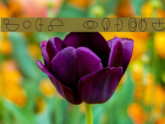 Jedi Symbol Font examples