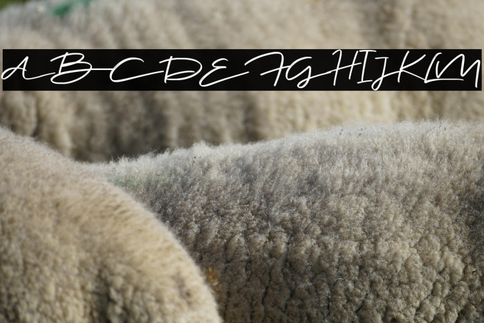 Jee Wish Demo Version Example 1