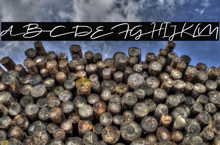 Jee Wish Demo Version Example 3