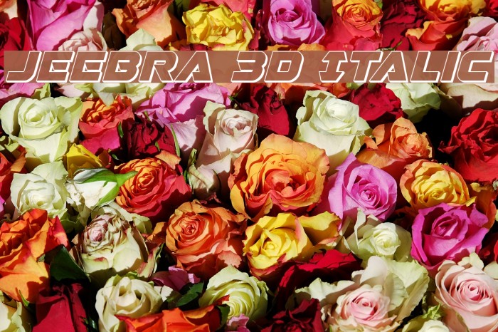 Jeebra 3D Italic Font examples