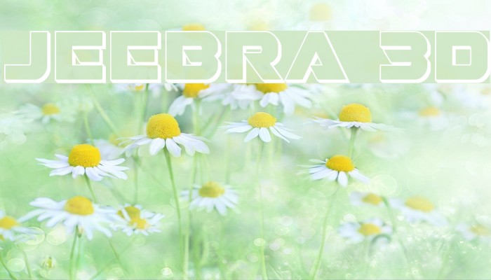 Jeebra 3D Font examples