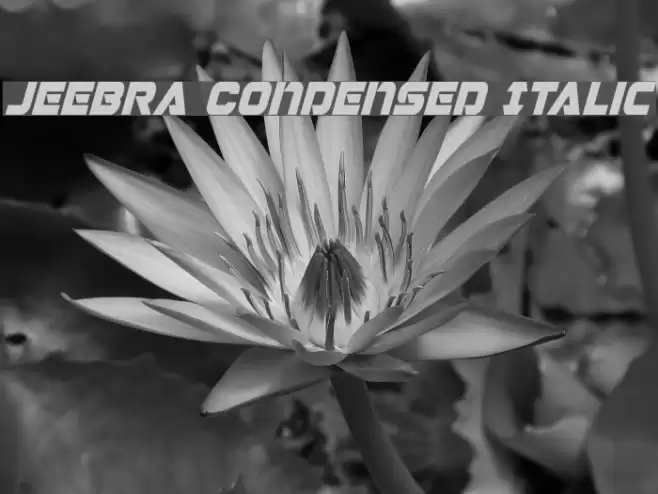 Jeebra Condensed Italic Font examples