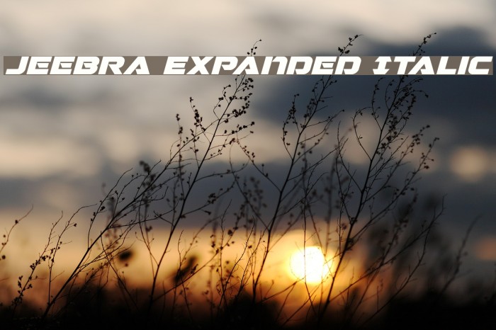 Jeebra Expanded Italic Font examples