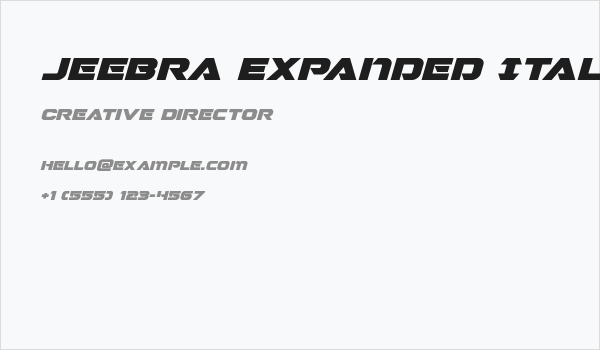 Jeebra Expanded Italic Business Card