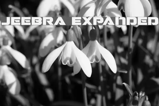 Jeebra Expanded Font examples