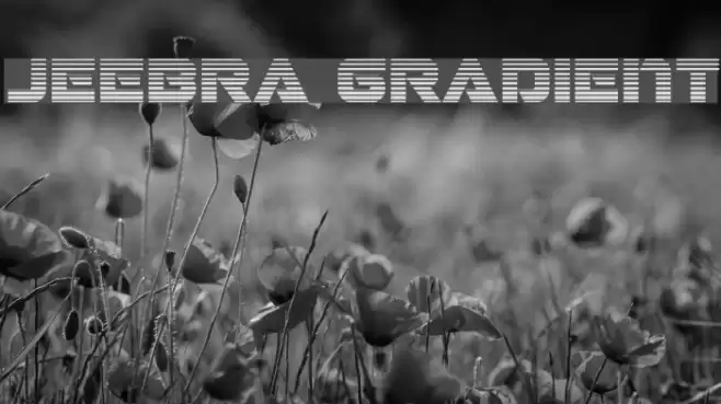 Jeebra Gradient Font examples